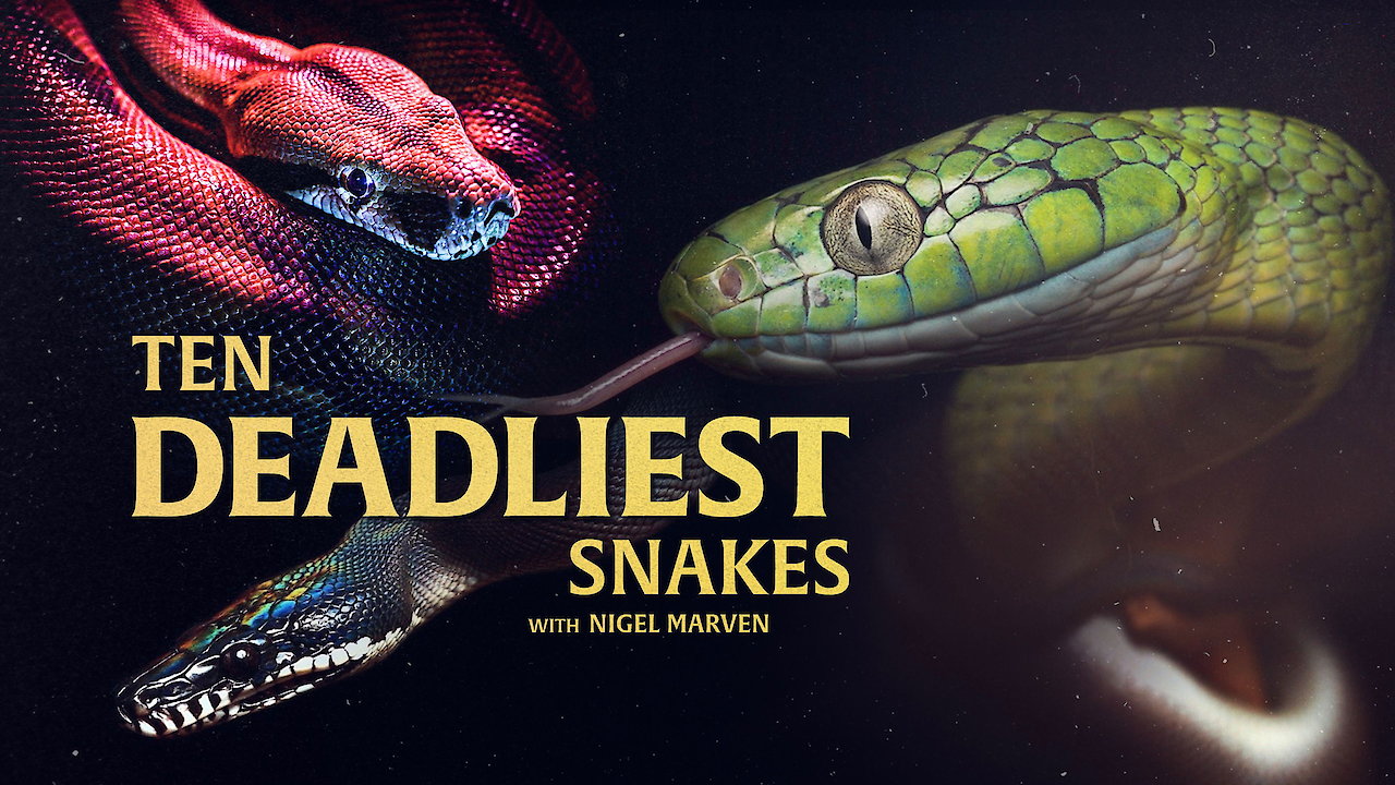 Ten Deadliest Snakes with Nigel Marven