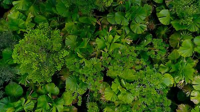 Earth Moods Season 1 Episode 5