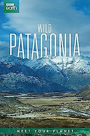 Wild Patagonia