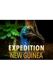 Expedition New Guinea