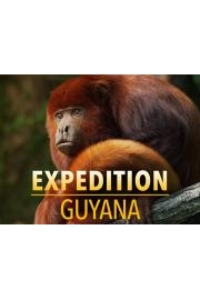 Expedition Guyana