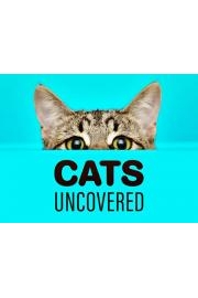 Cats Uncovered
