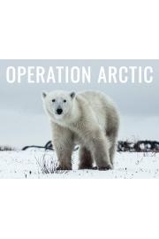 Operation Arctic