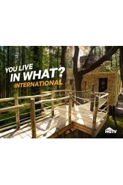 You Live In What? International