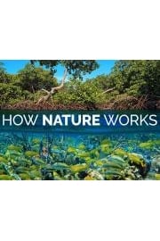 How Nature Works