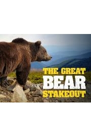 The Great Bear Stakeout