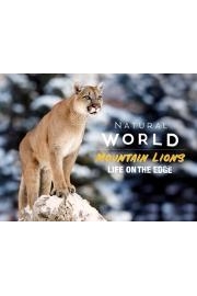 Mountain Lions - Life on the Edge
