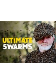 Ultimate Swarms