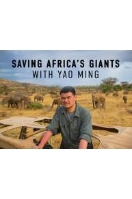 Saving Africa's Giants with Yao Ming