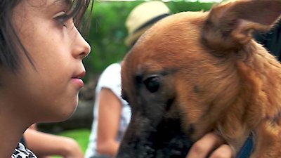 Toucan Nation Season 1 Episode 1