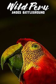 Wild Peru: Andes Battleground