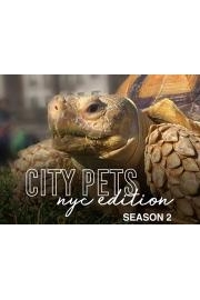 City Pets: NYC