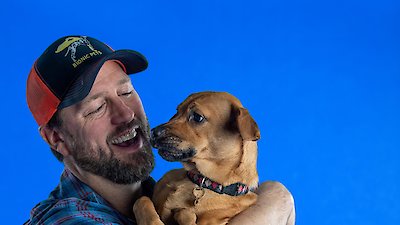 The Wizard of Paws Season 1 Episode 4