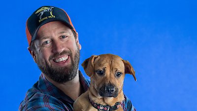 The Wizard of Paws Season 1 Episode 7