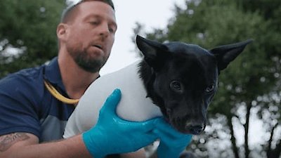 The Wizard of Paws Season 2 Episode 4