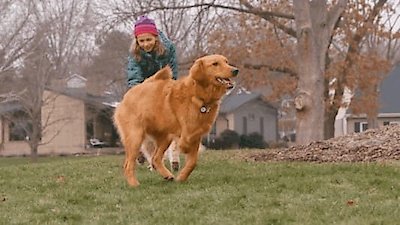 The Wizard of Paws Season 2 Episode 6