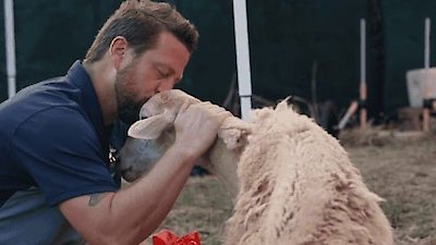 The Wizard of Paws Season 2 Episode 9