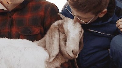 The Wizard of Paws Season 2 Episode 10