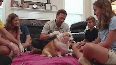 The Wizard of Paws Season 3 Episode 1