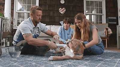 The Wizard of Paws Season 3 Episode 3