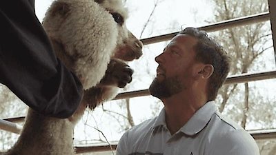 The Wizard of Paws Season 3 Episode 5