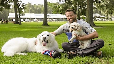 The Wizard of Paws Season 3 Episode 8