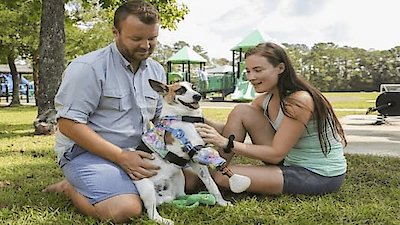 The Wizard of Paws Season 3 Episode 10