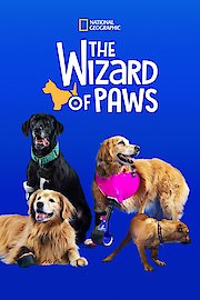 The Wizard of Paws