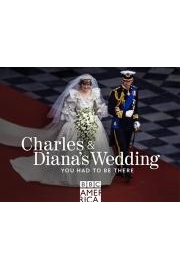 Charles and Diana's Wedding: You Had to Be There