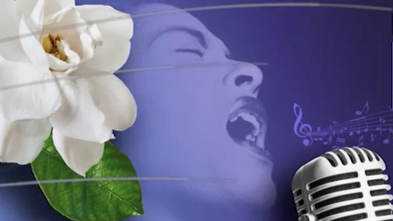 Looking For Lady Day