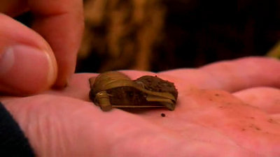 Time Team Season 14 Episode 11