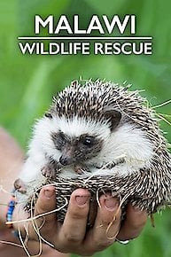 Malawi Wildlife Rescue