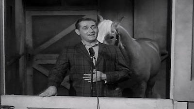 Mister Ed Season 1 Episode 14