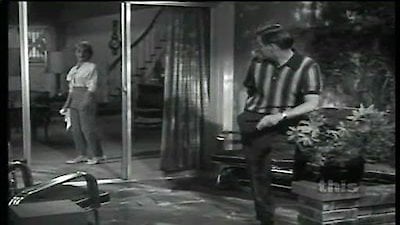 Mister Ed Season 1 Episode 19