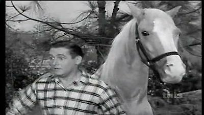 Mister Ed Season 2 Episode 7