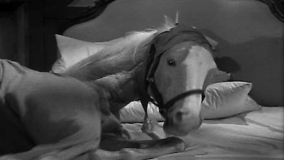 Mister Ed Season 2 Episode 13