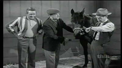 Mister Ed Season 2 Episode 17