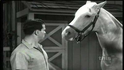 Mister Ed Season 3 Episode 4