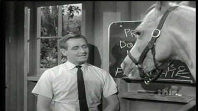 Watch Mister Ed Season 3 Episode 8 - Horse Party Online Now