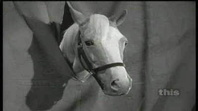 Mister Ed Season 3 Episode 13