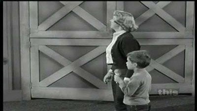 Mister Ed Season 3 Episode 17