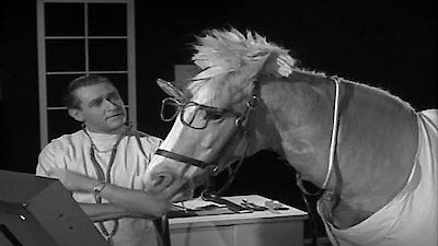 Watch Mister Ed Season 3 Episode 25 - Doctor Ed Online Now