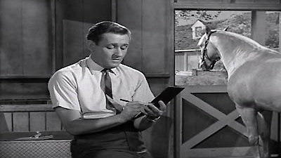 Mister Ed Season 4 Episode 2