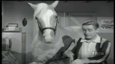 Mister Ed Season 4 Episode 4