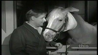 Mister Ed Season 4 Episode 13