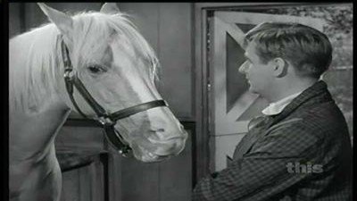 Mister Ed Season 4 Episode 23