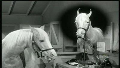 Mister Ed Season 4 Episode 25