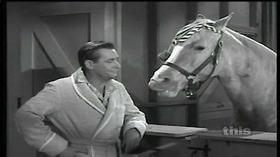 Mister Ed Season 5 Episode 7