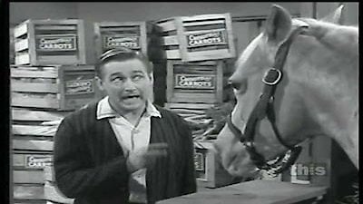 Mister Ed Season 5 Episode 10