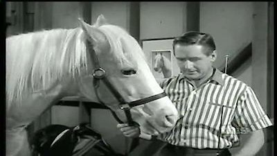 Mister Ed Season 5 Episode 13